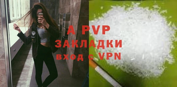 ECSTASY Бородино
