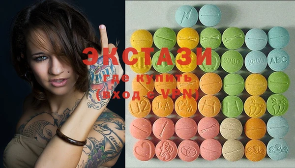 ECSTASY Бородино