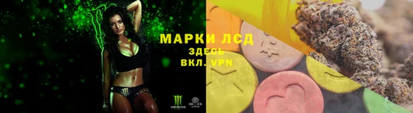 ECSTASY Бородино