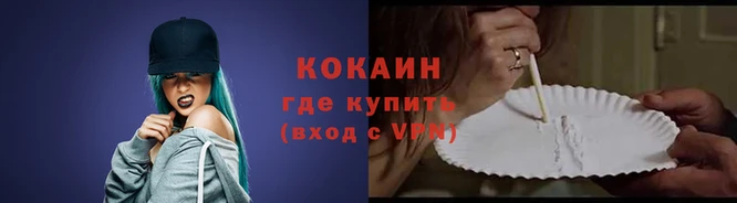 ECSTASY Бородино