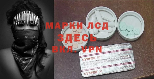 ECSTASY Бородино