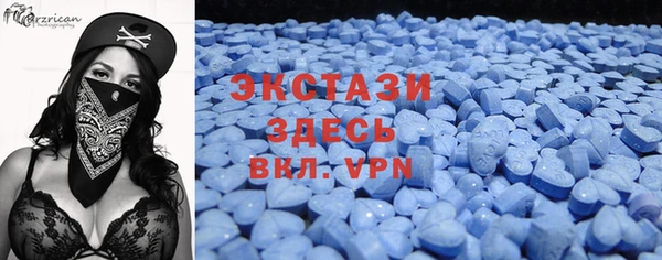 ECSTASY Бородино