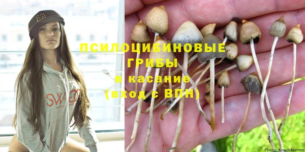 хмурый Саяногорск