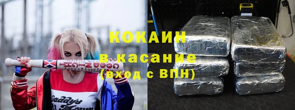 ECSTASY Бородино