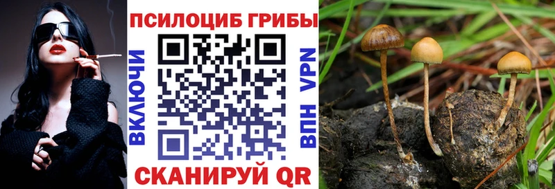 Псилоцибиновые грибы мухоморы  Мончегорск 